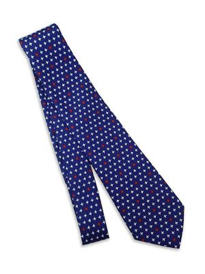 Mini Ariplanes Blue Tie