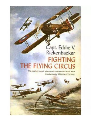 Fighting the Flying Circus
