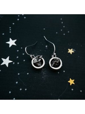Raw Meteorite Round Dangle Earrings