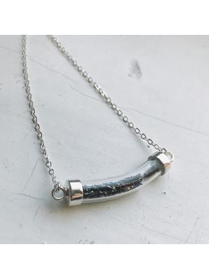 Stardust Vial Specimen Necklace with Meteorite