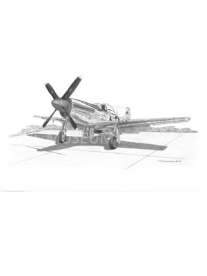 Small P-51 Illustration