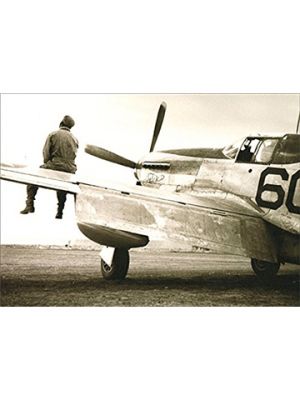 Tuskegee Pilot on Plane Card