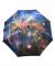 Astrophotography Nebula Umbrella