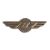 Boeing 787 Wings Pin