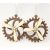 Light Kinetic Gear Wooden Earrings