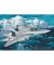 Grumman F-14A Tomcat Plus Poster
