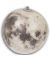 Inflatable Moon